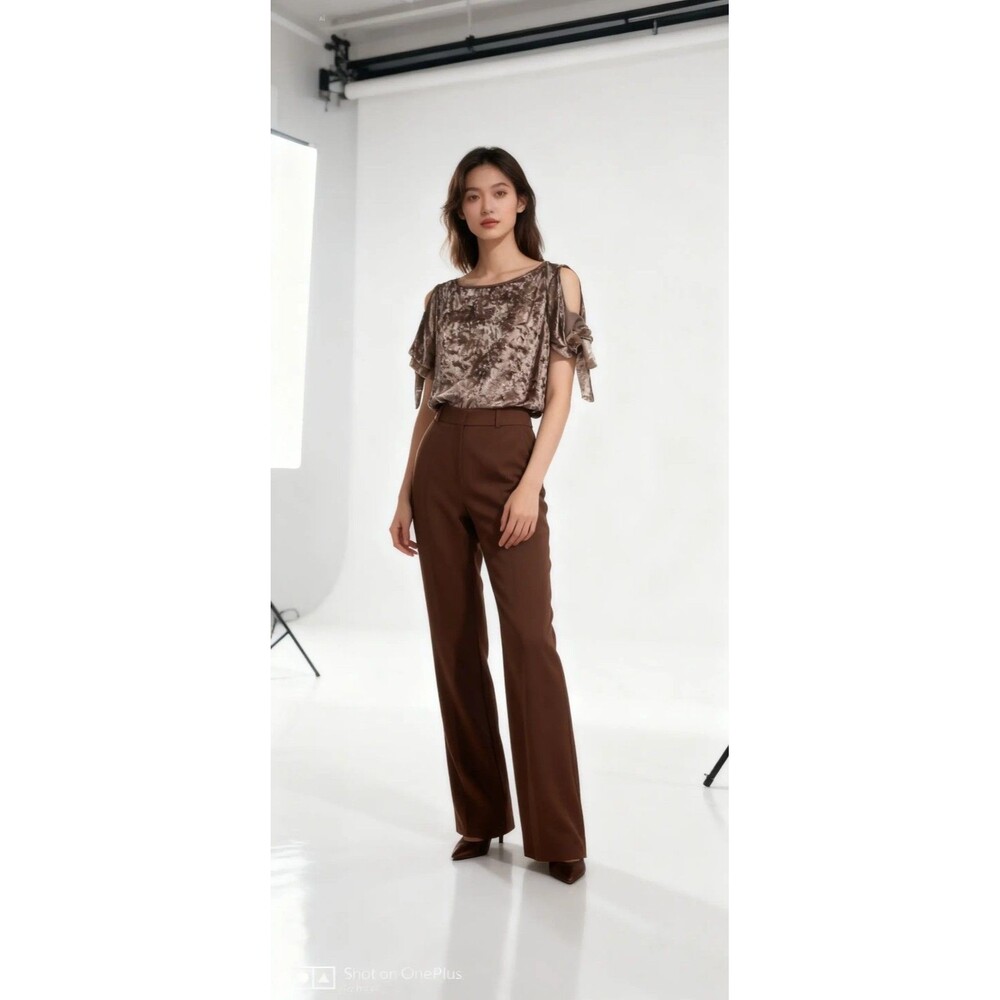 the outfit Womens Brown Solid Velvet Bow Sleeve Round Neck Pullover Blouse M
